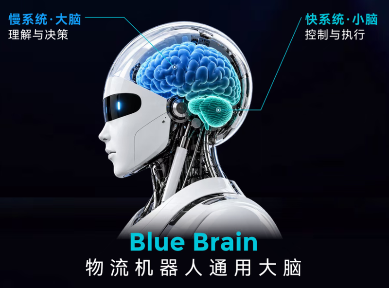 图片1_800px.png